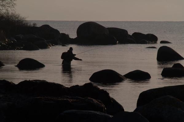 Amongst the rocks Amongst the rocks