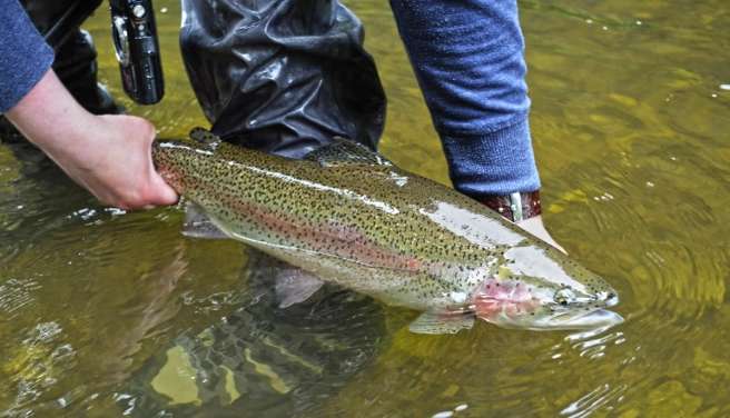 They add interest They add interest