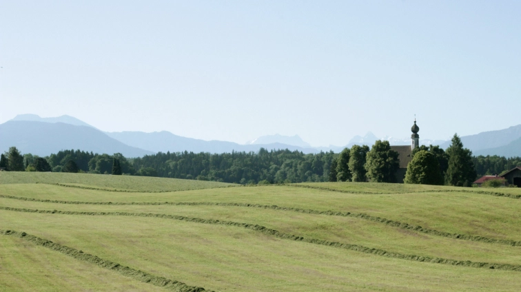 Like a garden Like a garden