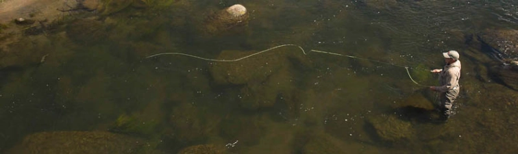 Casting to a rising fish Casting to a rising fish