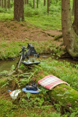 A studio in nature A studio in nature