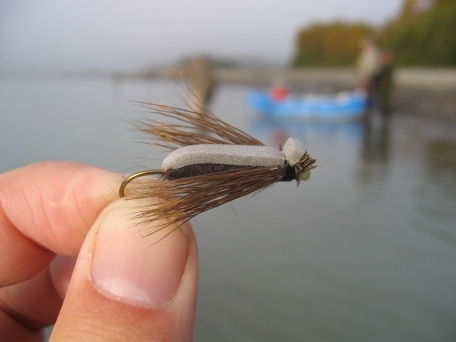 First look First look