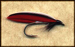 TROUT FIN Image