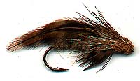 WHITLOCK'S SCULPIN Image