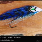 #29 Seattle - Team Colors Collection - Don Soar
