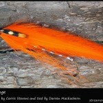 #25 All Orange - Darren MacEachern