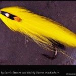 #168 Canary - Darren MacEachern