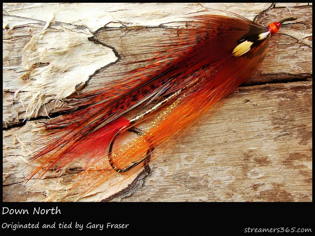 #254 Down North - Gary Fraser
