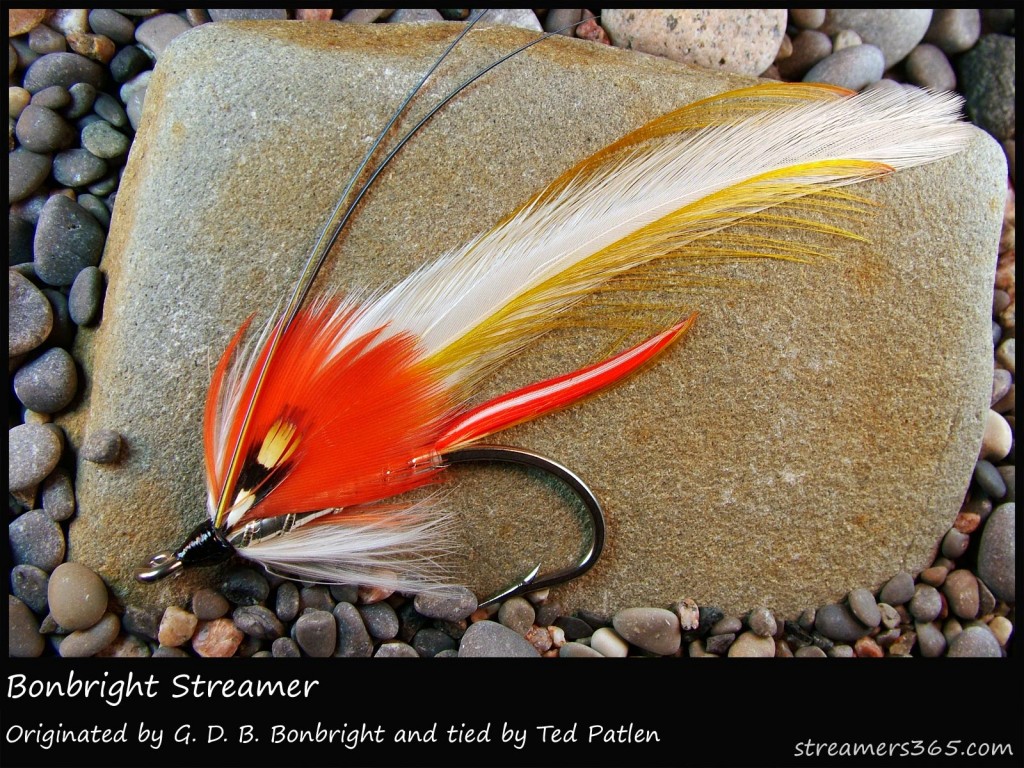 #320 Bonbright Streamer - Ted Patlen
