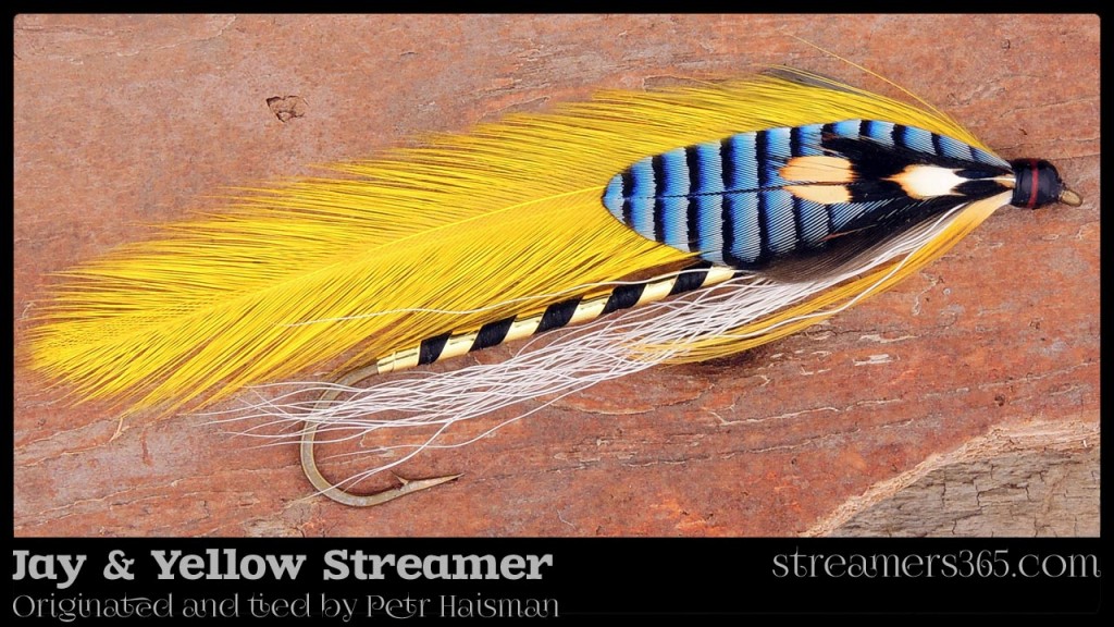 Jay & Yellow Streamer - Petr Haisman