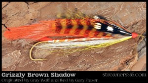 Grizzly Brown Shadow - Gary Fraser