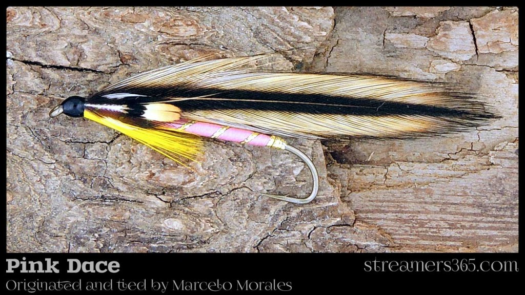 Pink Dace by Marcelo Morales