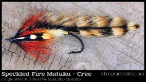 Speckled Fire Matuka (Cree) by Marcelo Morales