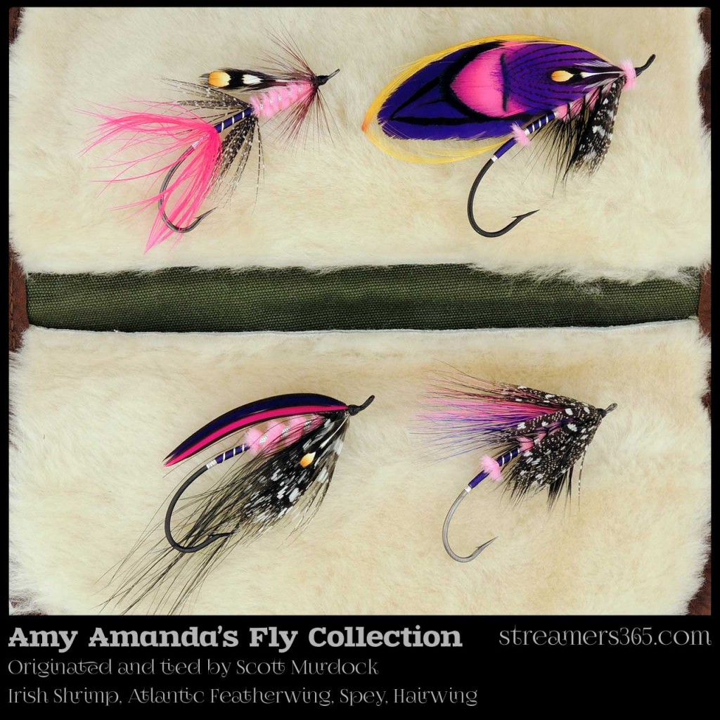 Amy Amanda Fly series by Scott Murdock