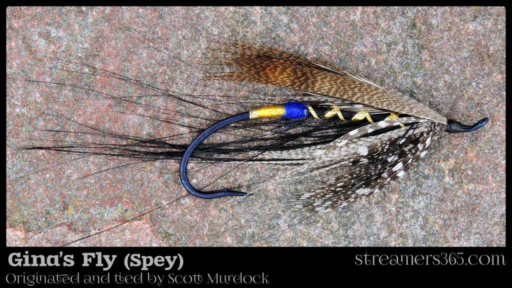 Gina's Fly - Spey by Scott Murdock