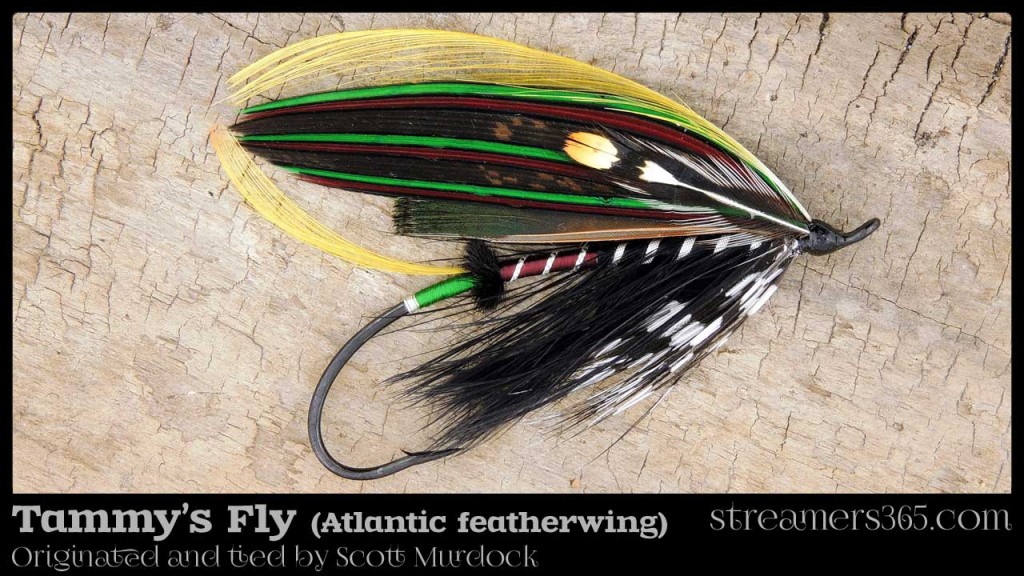 Tammy's Fly - Atlantic Salmon Featherwing by Scott Murdock
