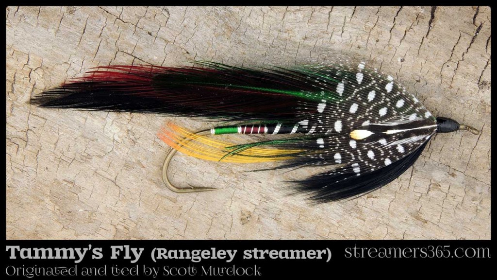 Tammy's Fly - Rangeley Streamer by Scott Murdock