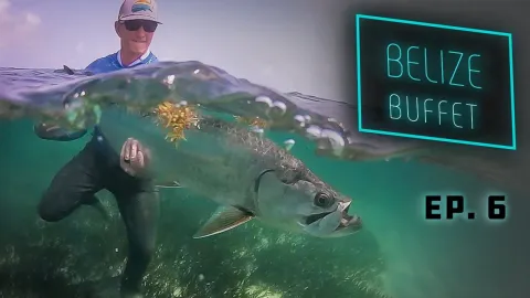 Video thumb for Belize Buffet