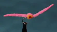 Video thumb for Infamous Pink Worm