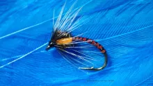 Video thumb for Soft Hackle Duckfly