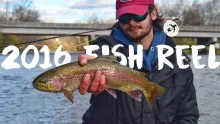Video thumb for 2016 Fish Reel