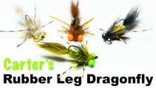Video thumb for Carters Rubber Leg Dragonfly