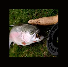 User submitted picture: Rainbow