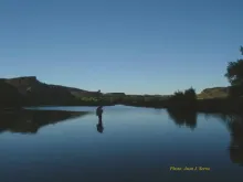 User submitted picture: Changing the fly.