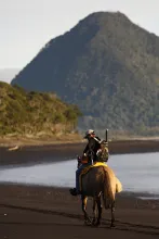 User submitted picture: Horseback riding the Paci...