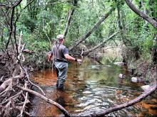 User submitted picture: ...Lithuanian Jungle...