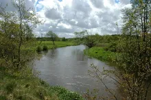 User submitted picture: Spring and fresh run Salm...