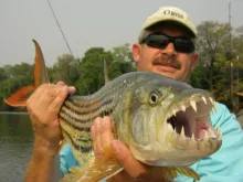 User submitted picture: A satisfied Angler holds ...
