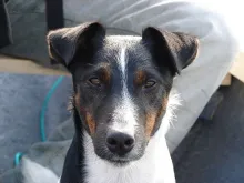 User submitted picture: One More Picture The My D...