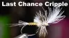 Video thumb for Last Chance Cripple