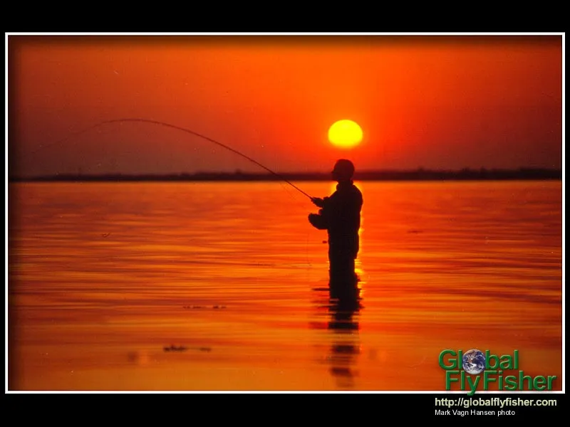 Computer screen wallpaper: Sunset fishing