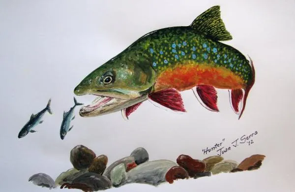 User submitted picture: Acrylic on paper.