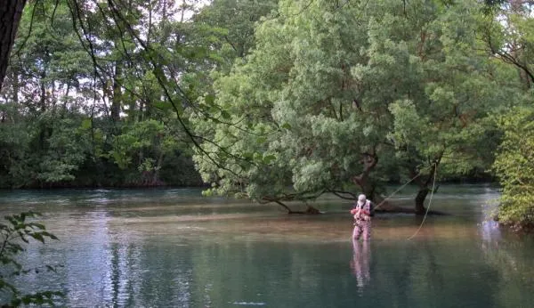 User submitted picture: Searching for the right f...