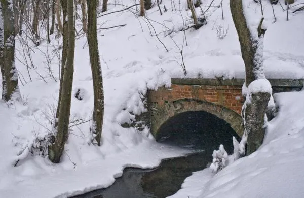 User submitted picture: Little Beauty