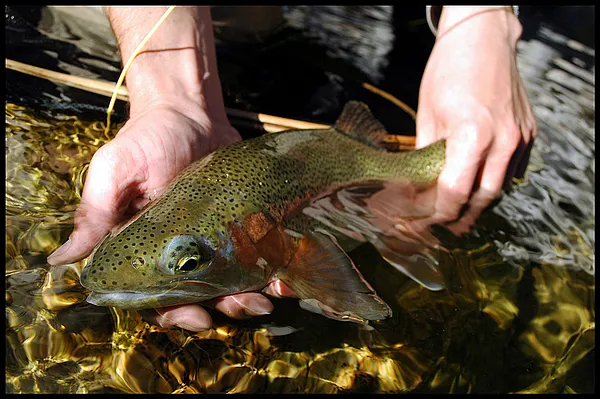 User submitted picture: I took this foto while we...