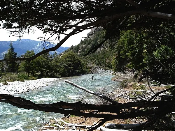 User submitted picture: Wading a Patagonia Argent...