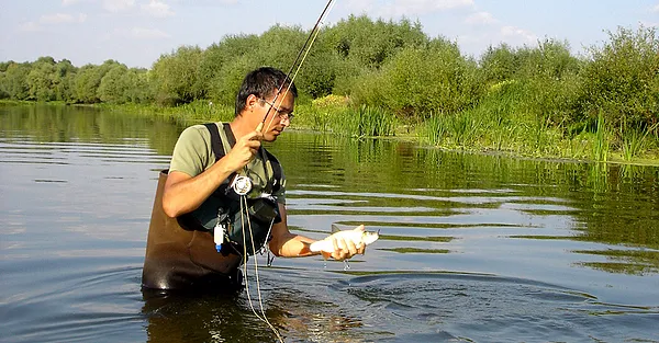 User submitted picture: Fly fishing for IDE in Hu...