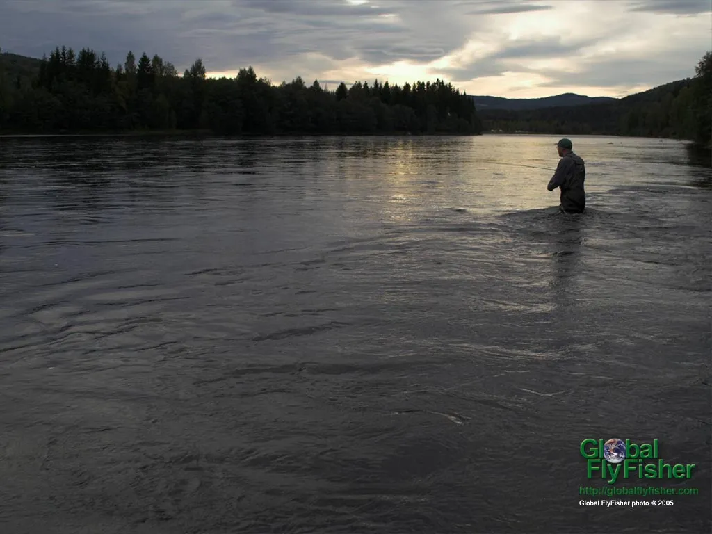 Computer screen wallpaper: Solitary angler in the sunset