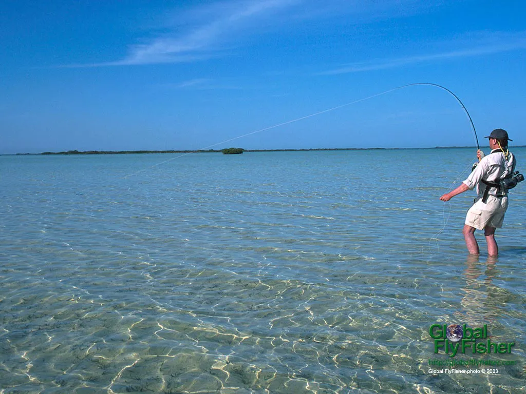 Computer screen wallpaper: Leaning into a Mexican bonefish.